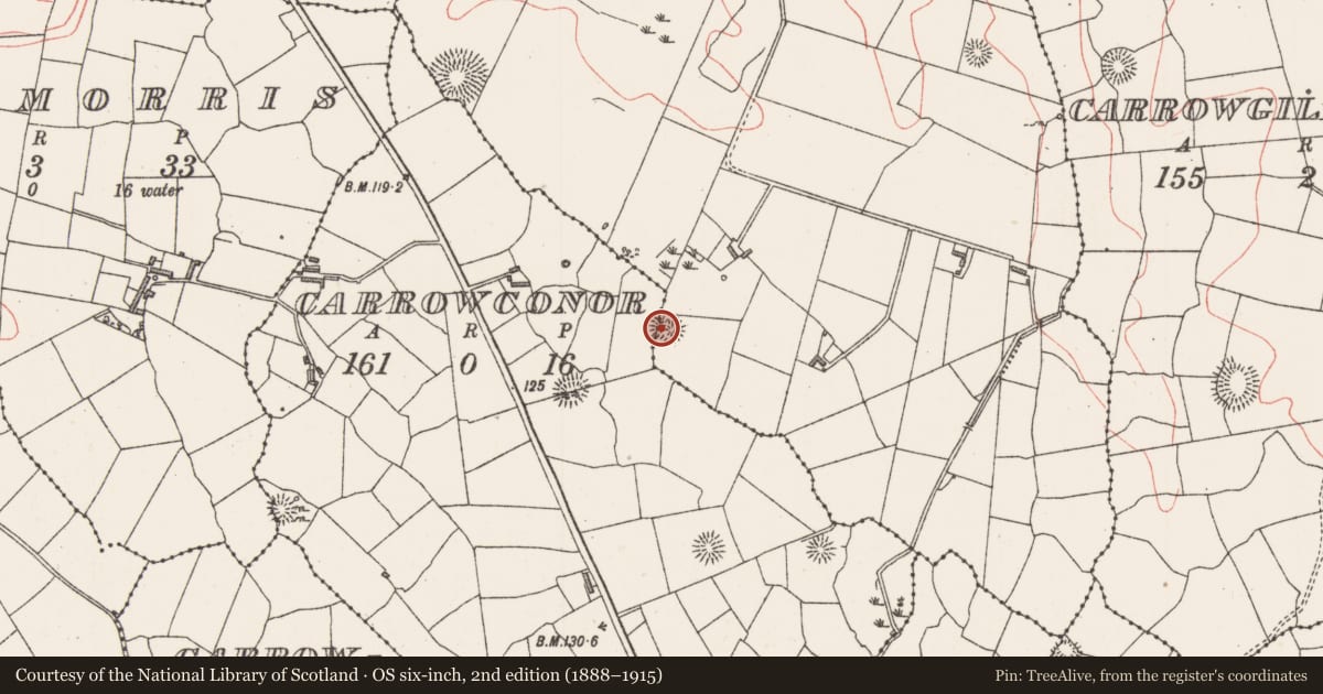 Ordnance Survey six-inch map, 2nd edition (1888–1915) covering the location of Enclosure, Bunnafedia, Carrowconor, County Sligo, with a pin at the register's coordinates