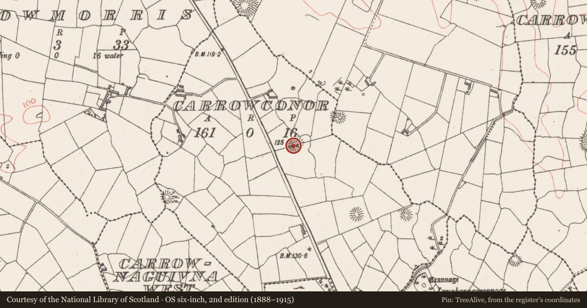 Ordnance Survey six-inch map, 2nd edition (1888–1915) covering the location of Ringfort - rath, Carrowconor, County Sligo, with a pin at the register's coordinates