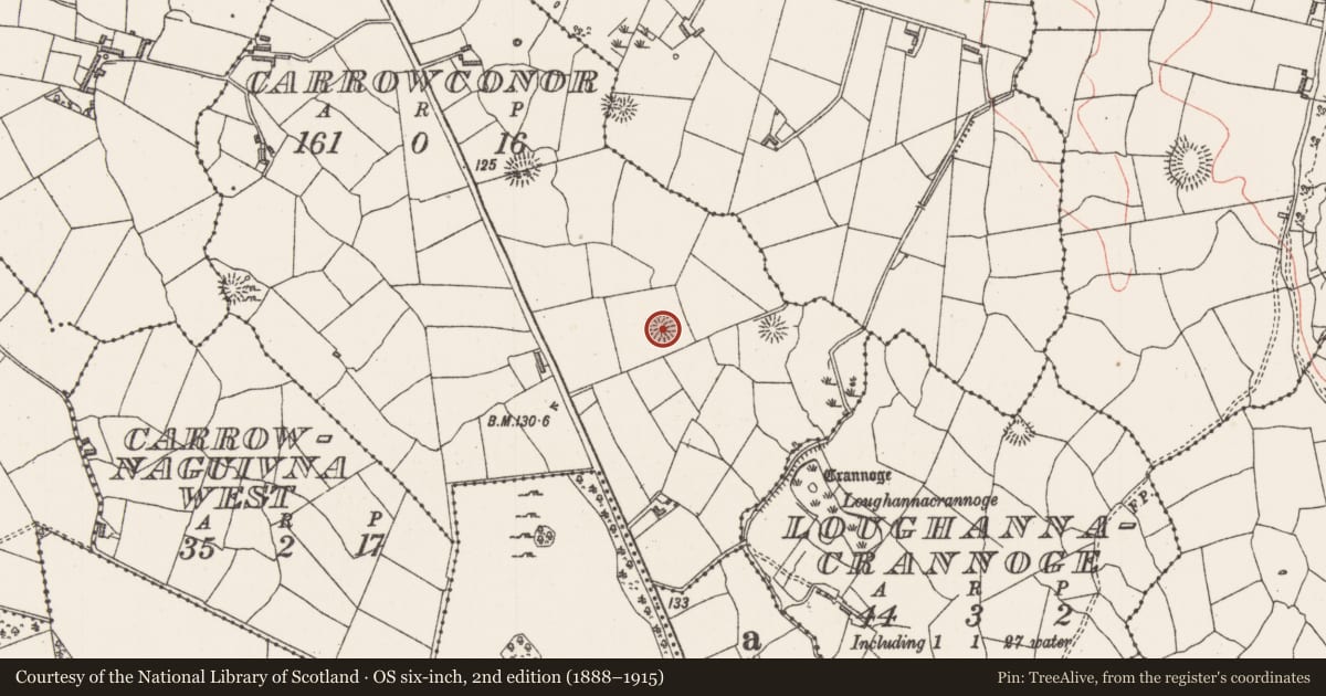 Ordnance Survey six-inch map, 2nd edition (1888–1915) covering the location of Ringfort - rath, Carrowconor, County Sligo, with a pin at the register's coordinates