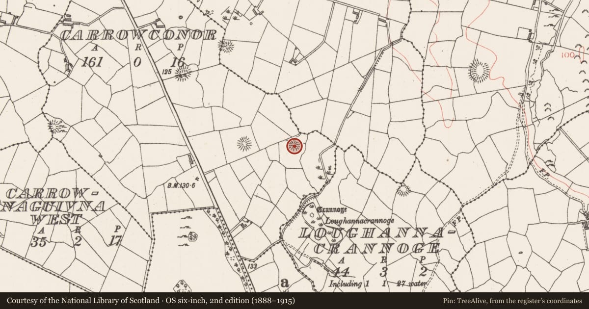 Ordnance Survey six-inch map, 2nd edition (1888–1915) covering the location of Ringfort - rath, Carrowconor, County Sligo, with a pin at the register's coordinates