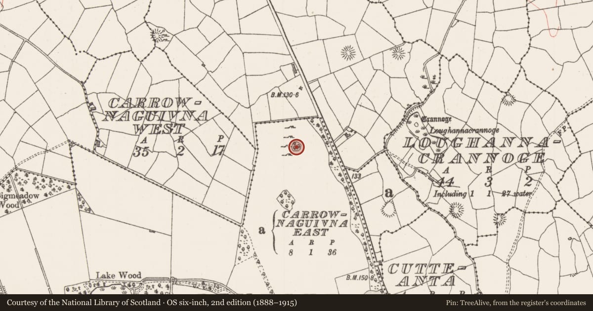 Ordnance Survey six-inch map, 2nd edition (1888–1915) covering the location of Enclosure, Longford Demesne, County Sligo, with a pin at the register's coordinates