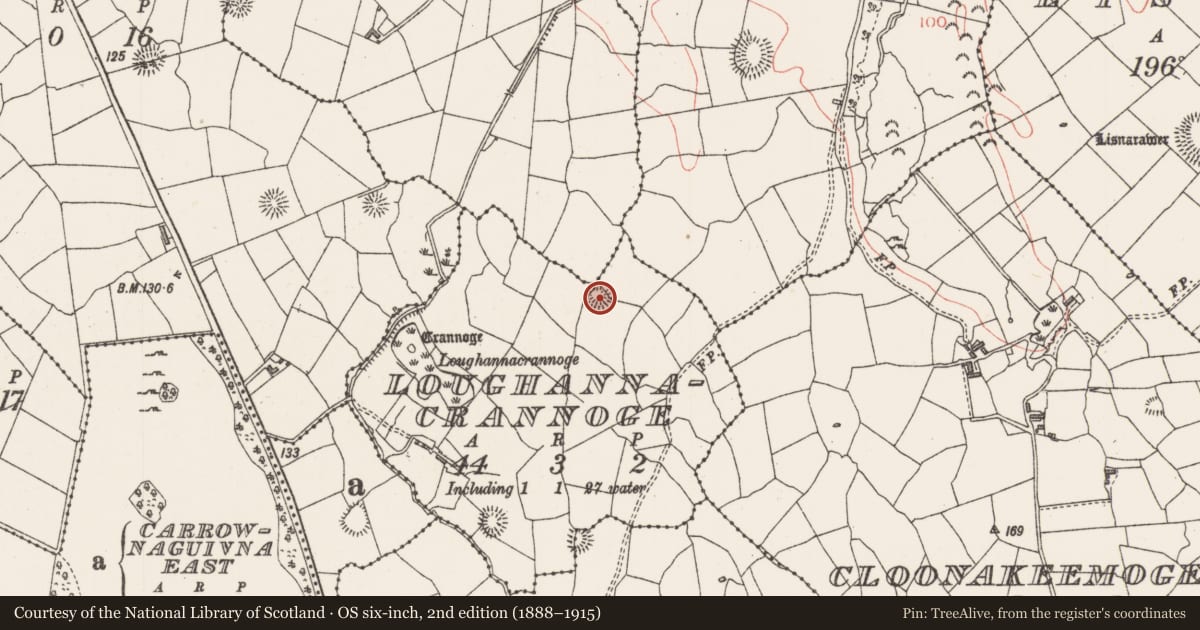 Ordnance Survey six-inch map, 2nd edition (1888–1915) covering the location of Ringfort - rath, Loughannacrannoge, County Sligo, with a pin at the register's coordinates