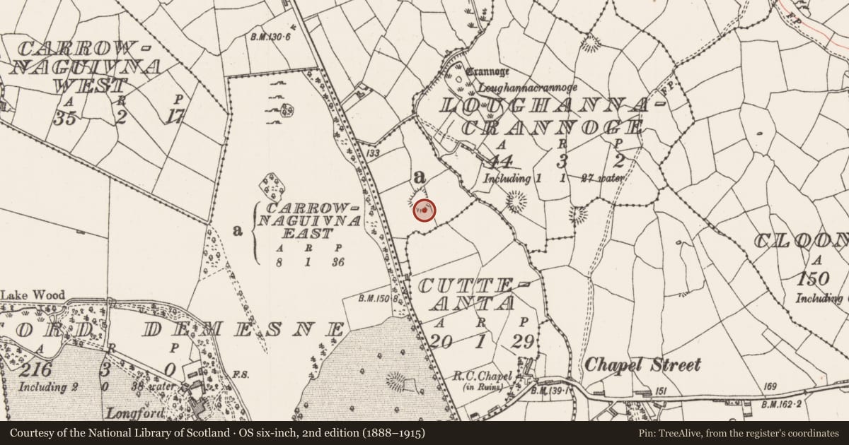 Ordnance Survey six-inch map, 2nd edition (1888–1915) covering the location of Ringfort - rath, Carrownaguivna East, County Sligo, with a pin at the register's coordinates