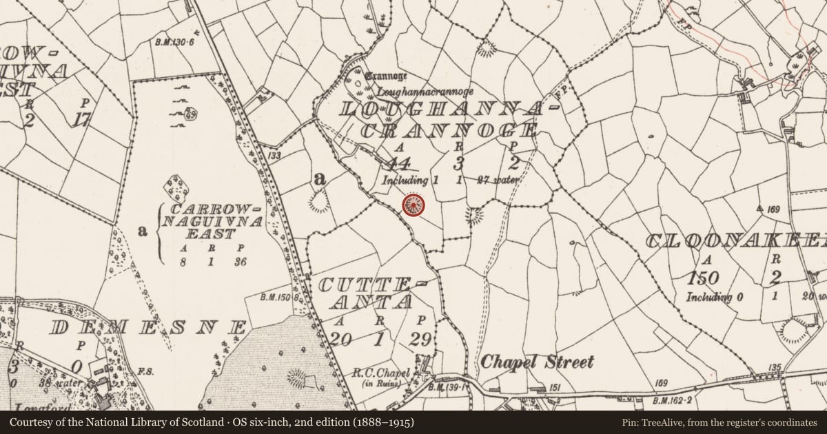 Ordnance Survey six-inch map, 2nd edition (1888–1915) covering the location of Ringfort - rath, Loughannacrannoge, County Sligo, with a pin at the register's coordinates