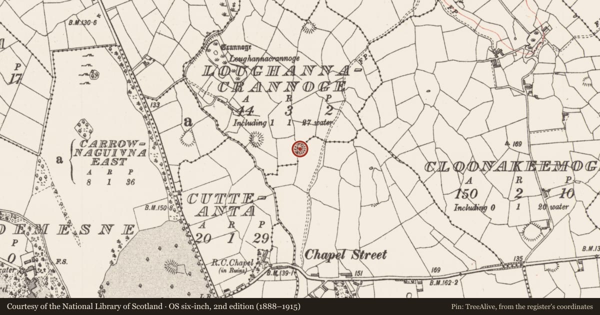 Ordnance Survey six-inch map, 2nd edition (1888–1915) covering the location of Ringfort - unclassified, Loughannacrannoge, County Sligo, with a pin at the register's coordinates