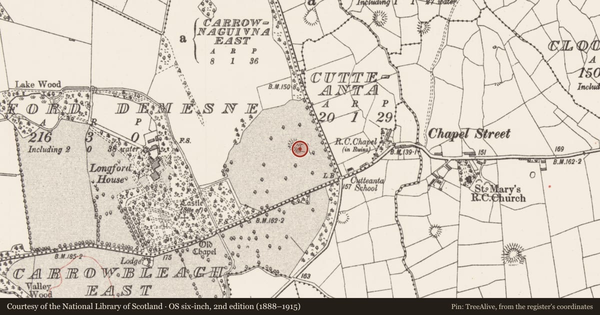 Ordnance Survey six-inch map, 2nd edition (1888–1915) covering the location of Ringfort - cashel, Longford Demesne, County Sligo, with a pin at the register's coordinates