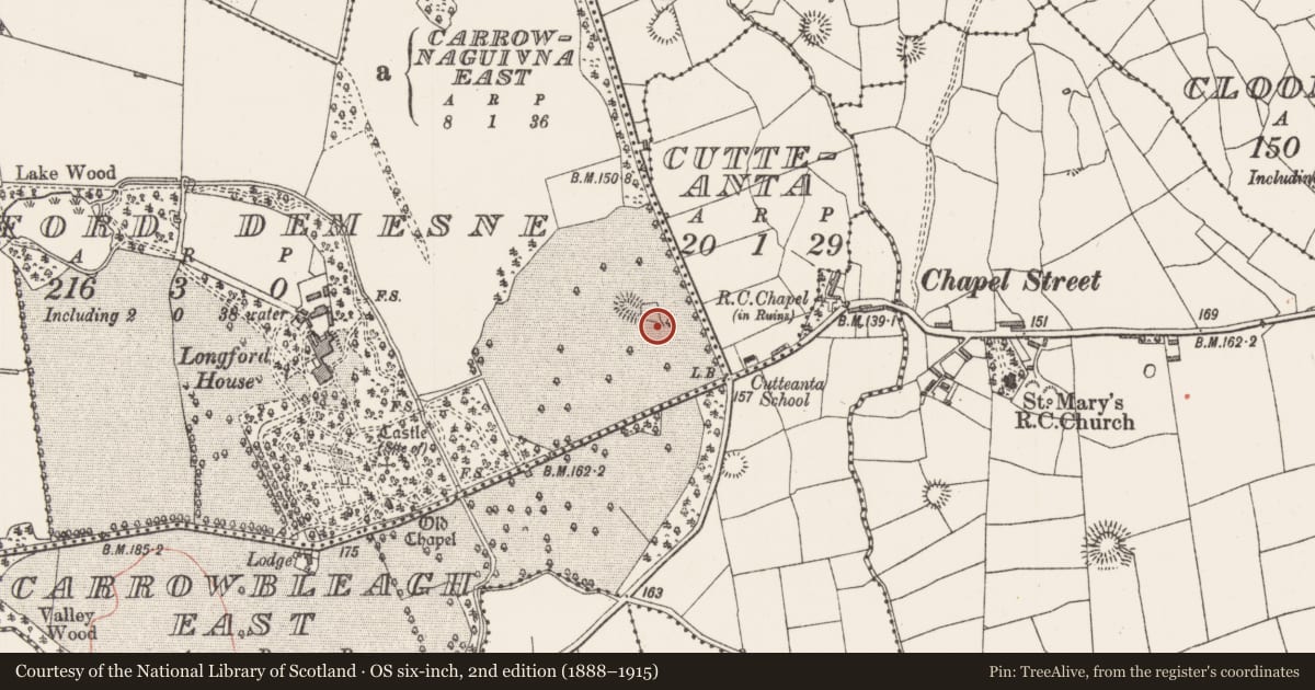 Ordnance Survey six-inch map, 2nd edition (1888–1915) covering the location of Enclosure, Longford Demesne, County Sligo, with a pin at the register's coordinates