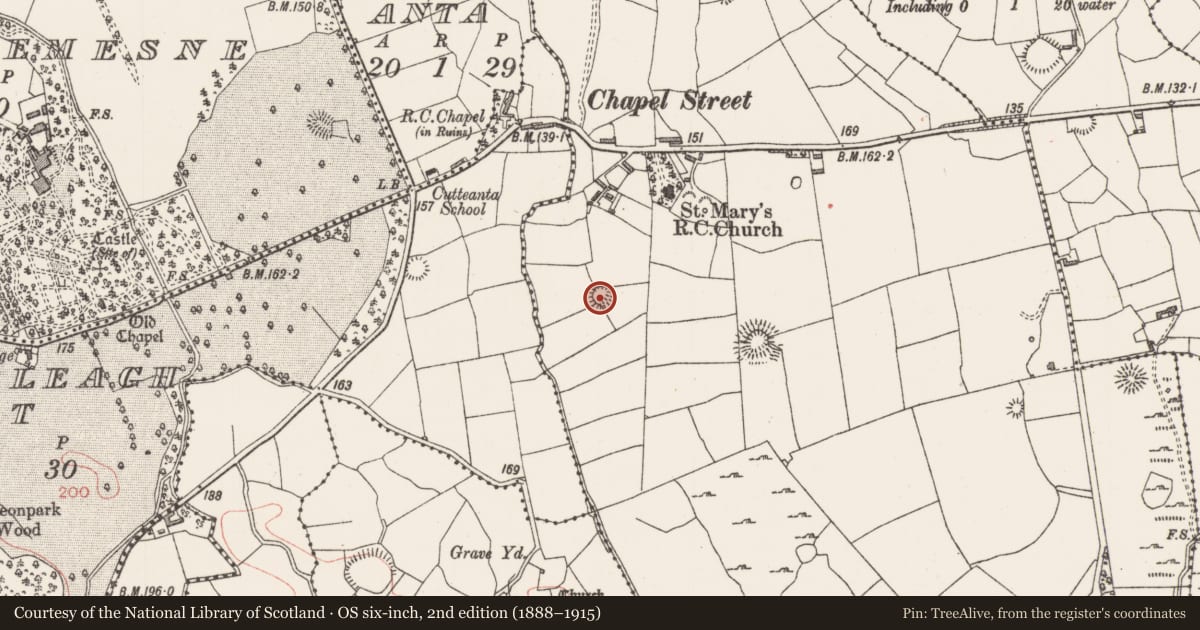 Ordnance Survey six-inch map, 2nd edition (1888–1915) covering the location of Ringfort - rath, Altanelvick, County Sligo, with a pin at the register's coordinates