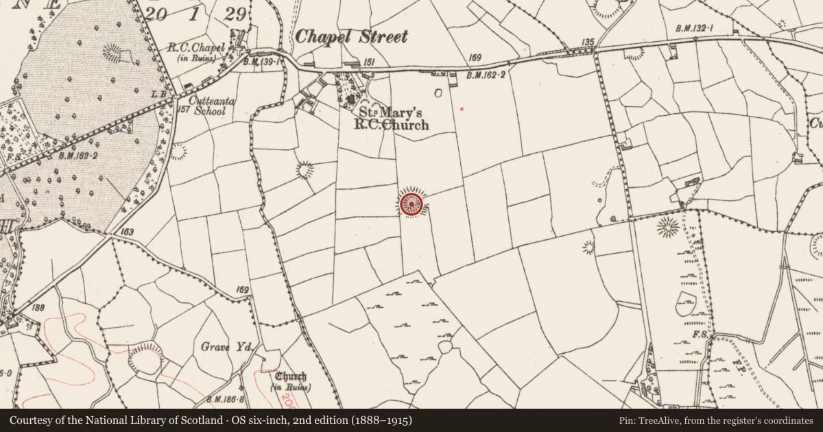 Ordnance Survey six-inch map, 2nd edition (1888–1915) covering the location of Ringfort - rath, Altanelvick, County Sligo, with a pin at the register's coordinates