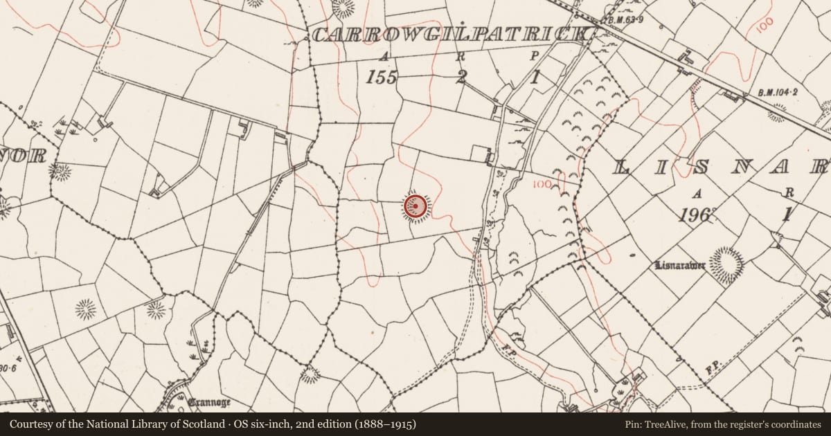 Ordnance Survey six-inch map, 2nd edition (1888–1915) covering the location of Ringfort - rath, Carrowgilpatrick, County Sligo, with a pin at the register's coordinates