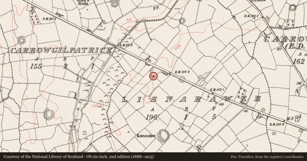Ordnance Survey six-inch map, 2nd edition (1888–1915) covering the location of Ringfort - rath, Lisnarawer, County Sligo, with a pin at the register's coordinates