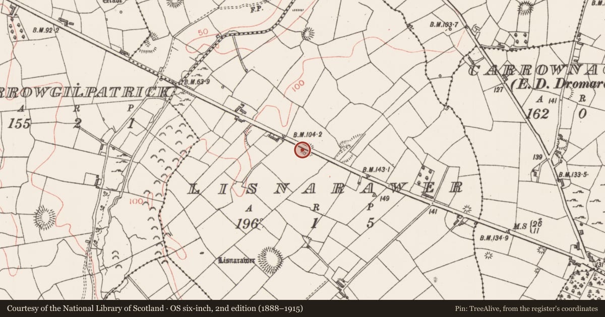 Ordnance Survey six-inch map, 2nd edition (1888–1915) covering the location of Ringfort - rath, Lisnarawer, County Sligo, with a pin at the register's coordinates