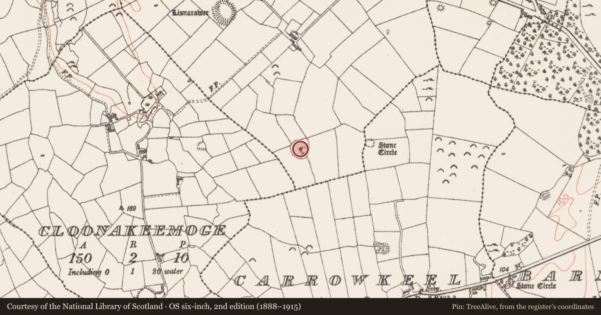 Ordnance Survey six-inch map, 2nd edition (1888–1915) covering the location of Enclosure, Lisnarawer, County Sligo, with a pin at the register's coordinates