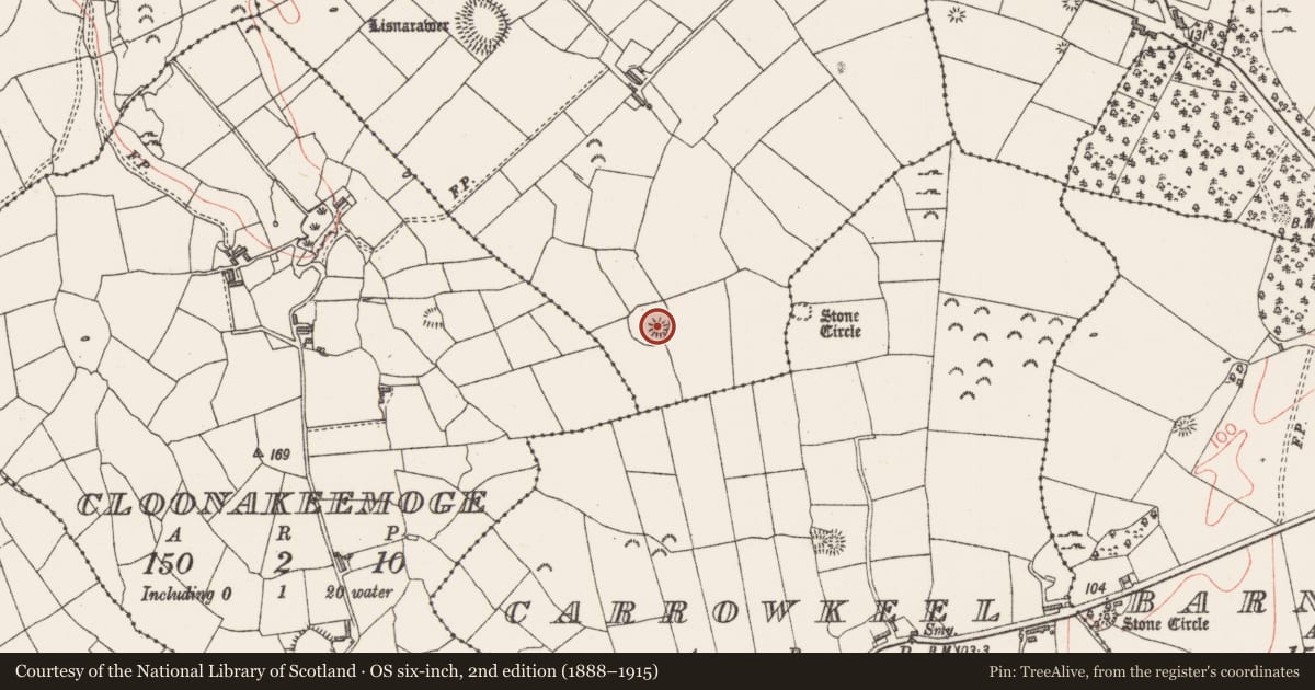 Ordnance Survey six-inch map, 2nd edition (1888–1915) covering the location of Enclosure, Lisnarawer, County Sligo, with a pin at the register's coordinates
