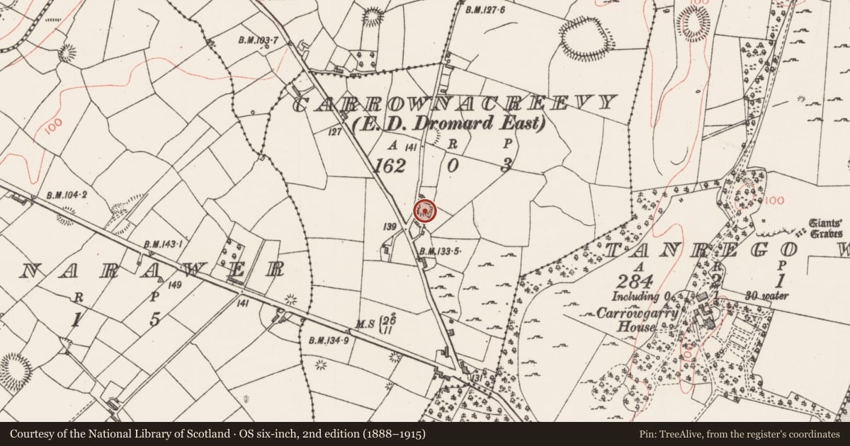 Ordnance Survey six-inch map, 2nd edition (1888–1915) covering the location of Ringfort - rath, Carrownacreevy, County Sligo, with a pin at the register's coordinates