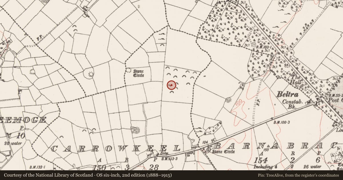Ordnance Survey six-inch map, 2nd edition (1888–1915) covering the location of Enclosure, Carrowkeel, County Sligo, with a pin at the register's coordinates