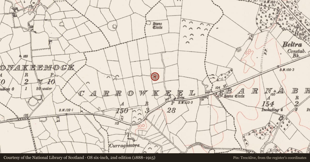 Ordnance Survey six-inch map, 2nd edition (1888–1915) covering the location of Enclosure, Carrowkeel, County Sligo, with a pin at the register's coordinates
