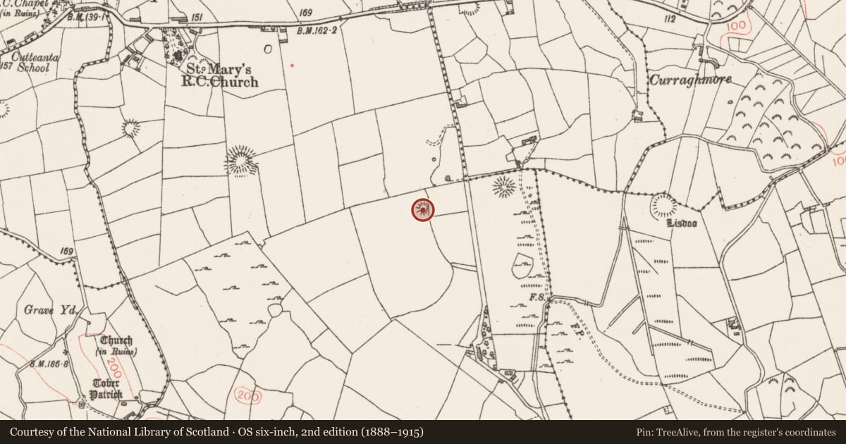 Ordnance Survey six-inch map, 2nd edition (1888–1915) covering the location of Enclosure, Altanelvick, County Sligo, with a pin at the register's coordinates