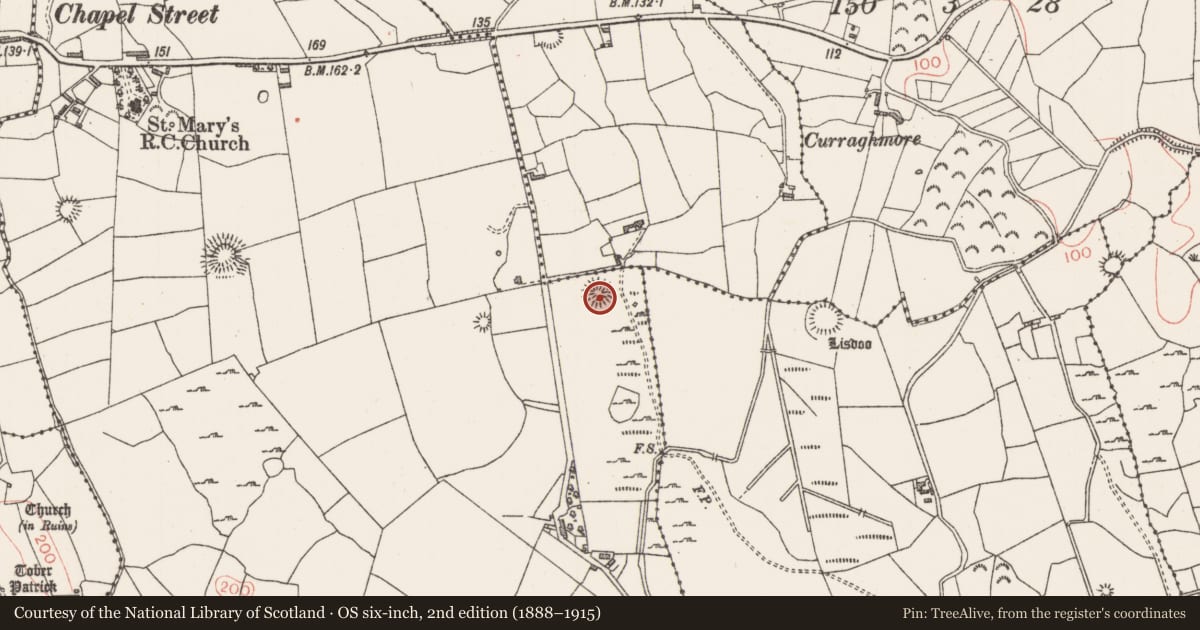 Ordnance Survey six-inch map, 2nd edition (1888–1915) covering the location of Ringfort - cashel, Altanelvick, County Sligo, with a pin at the register's coordinates