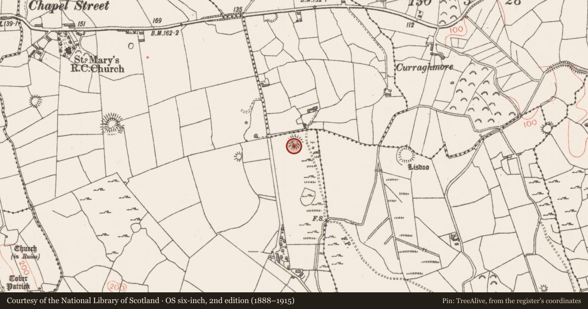 Ordnance Survey six-inch map, 2nd edition (1888–1915) covering the location of Souterrain, Altanelvick, County Sligo, with a pin at the register's coordinates