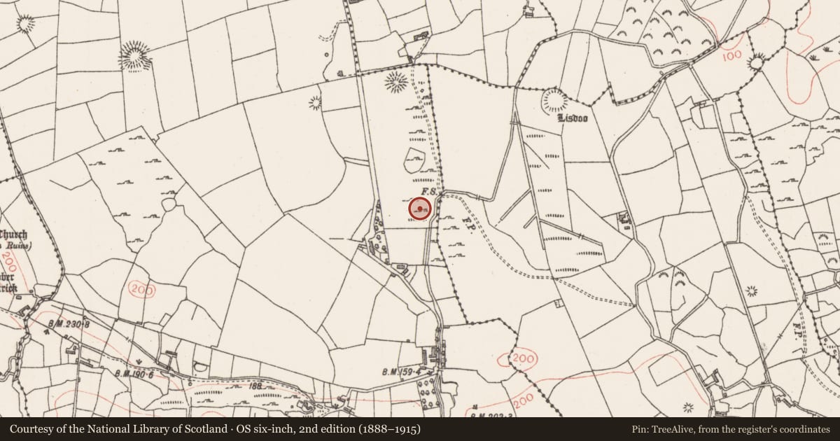 Ordnance Survey six-inch map, 2nd edition (1888–1915) covering the location of Ringfort - cashel, Altanelvick, County Sligo, with a pin at the register's coordinates