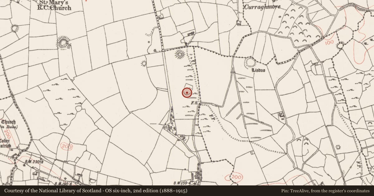 Ordnance Survey six-inch map, 2nd edition (1888–1915) covering the location of Enclosure, Altanelvick, County Sligo, with a pin at the register's coordinates