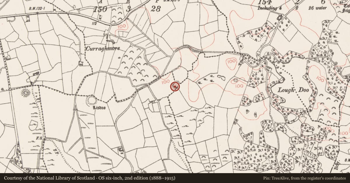 Ordnance Survey six-inch map, 2nd edition (1888–1915) covering the location of Ringfort - rath, County Sligo, with a pin at the register's coordinates