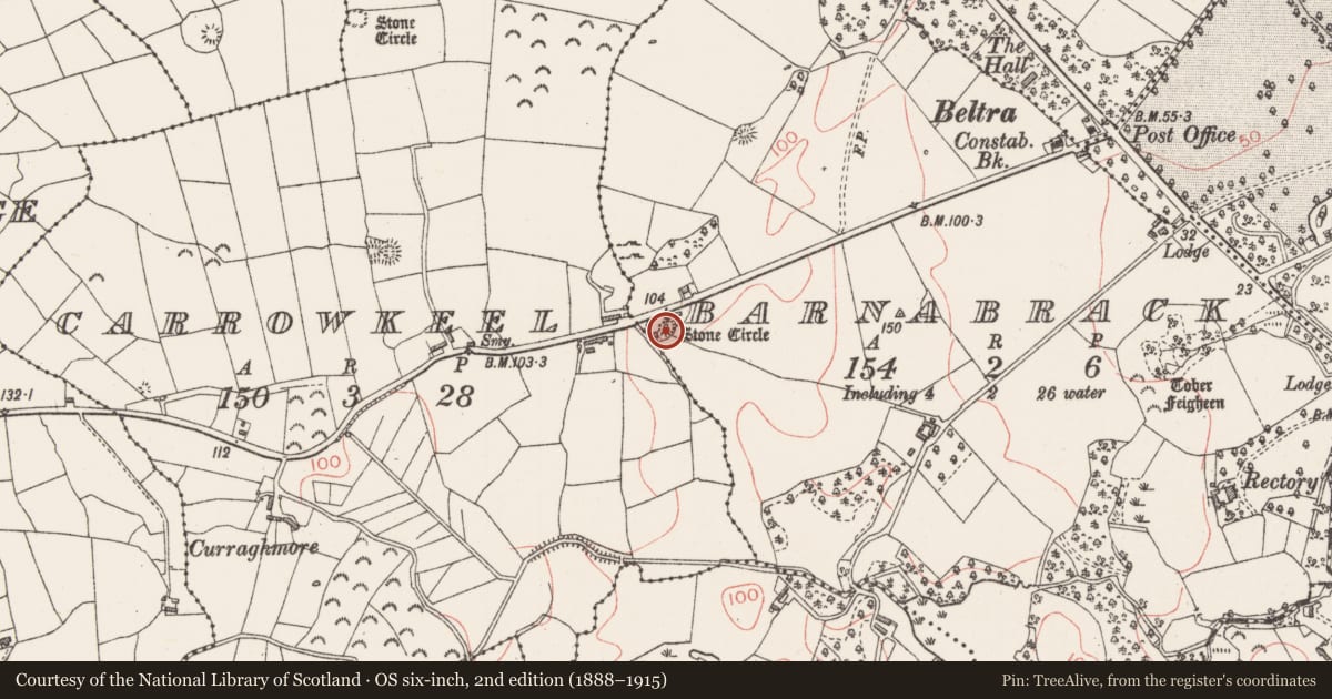 Ordnance Survey six-inch map, 2nd edition (1888–1915) covering the location of Megalithic tomb - passage tomb, Barnabrack, County Sligo, with a pin at the register's coordinates