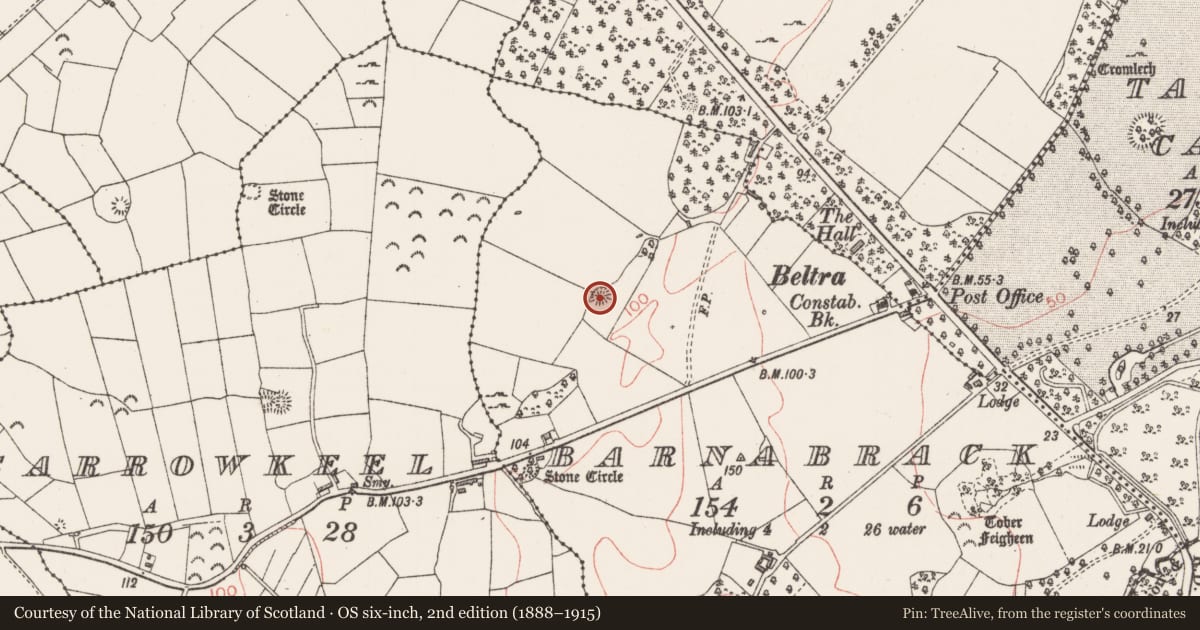 Ordnance Survey six-inch map, 2nd edition (1888–1915) covering the location of Ringfort - rath, Barnabrack, County Sligo, with a pin at the register's coordinates