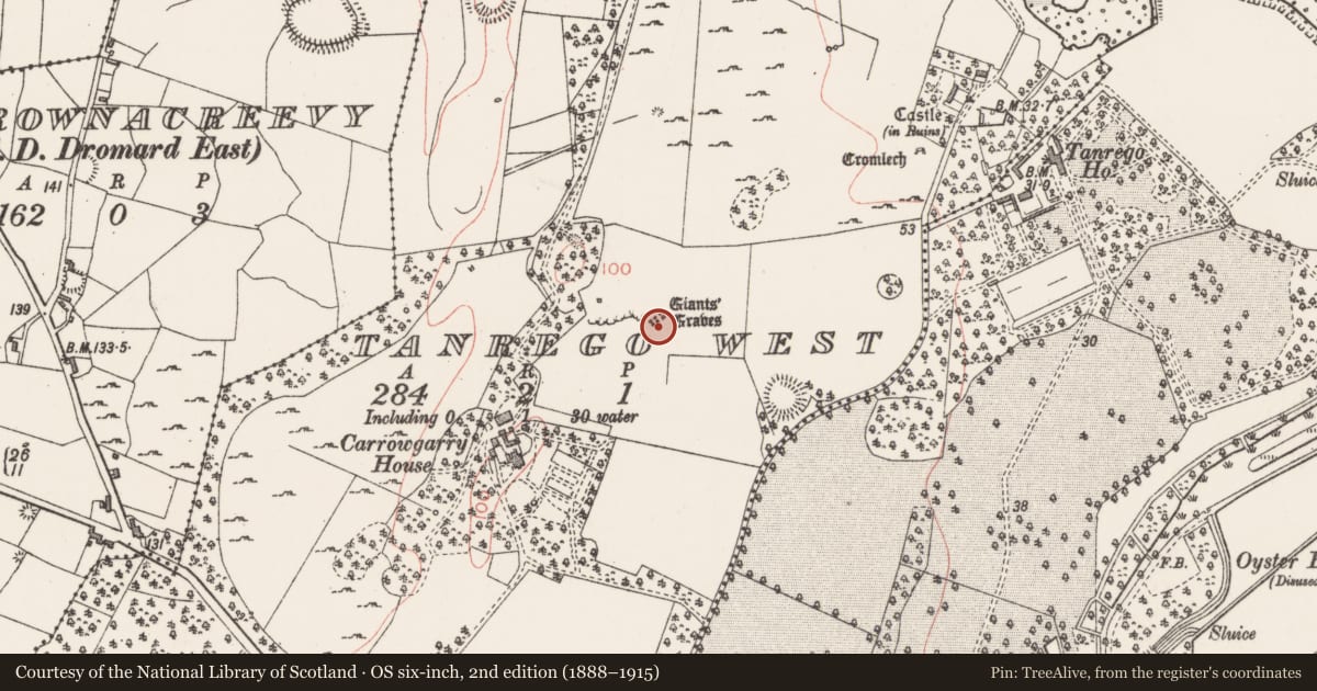Ordnance Survey six-inch map, 2nd edition (1888–1915) covering the location of Megalithic tomb - court tomb, Tanrego West, County Sligo, with a pin at the register's coordinates