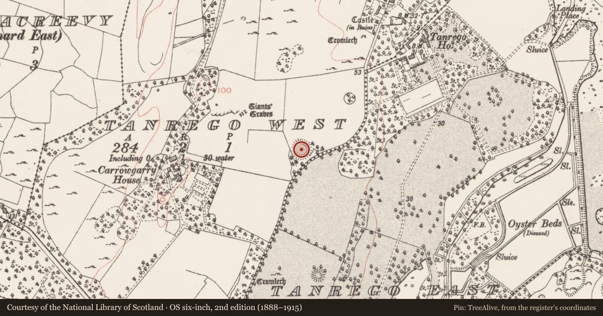 Ordnance Survey six-inch map, 2nd edition (1888–1915) covering the location of Ringfort - rath, Tanrego West, County Sligo, with a pin at the register's coordinates