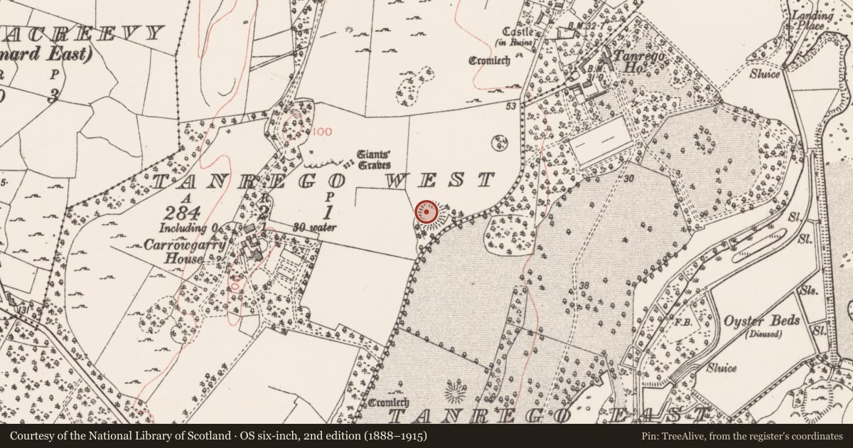 Ordnance Survey six-inch map, 2nd edition (1888–1915) covering the location of Souterrain, Tanrego West, County Sligo, with a pin at the register's coordinates
