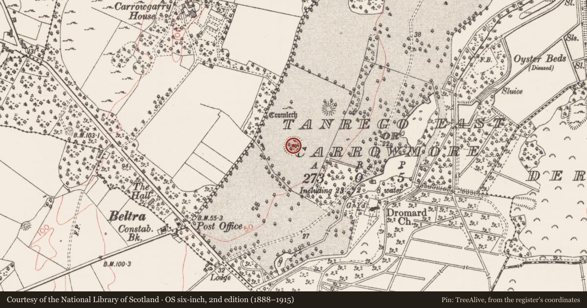 Ordnance Survey six-inch map, 2nd edition (1888–1915) covering the location of Ringfort - rath, Tanrego East Or Carrowmore, County Sligo, with a pin at the register's coordinates