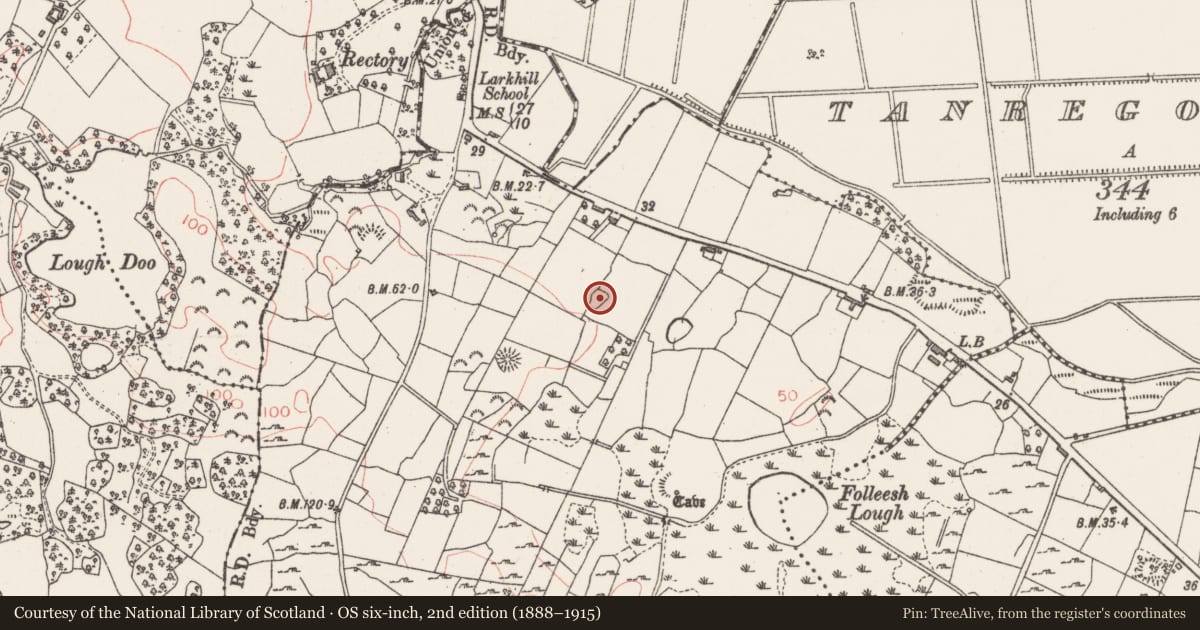 Ordnance Survey six-inch map, 2nd edition (1888–1915) covering the location of Enclosure, Larkhill, County Sligo, with a pin at the register's coordinates