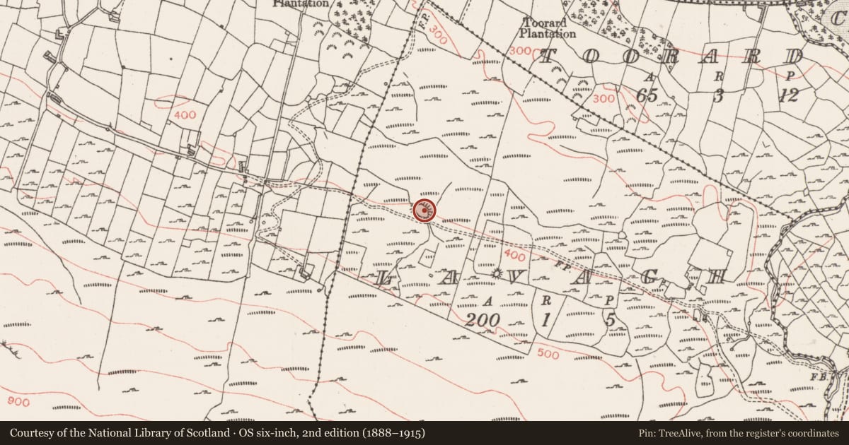 Ordnance Survey six-inch map, 2nd edition (1888–1915) covering the location of Ringfort - cashel, Lavagh, County Sligo, with a pin at the register's coordinates