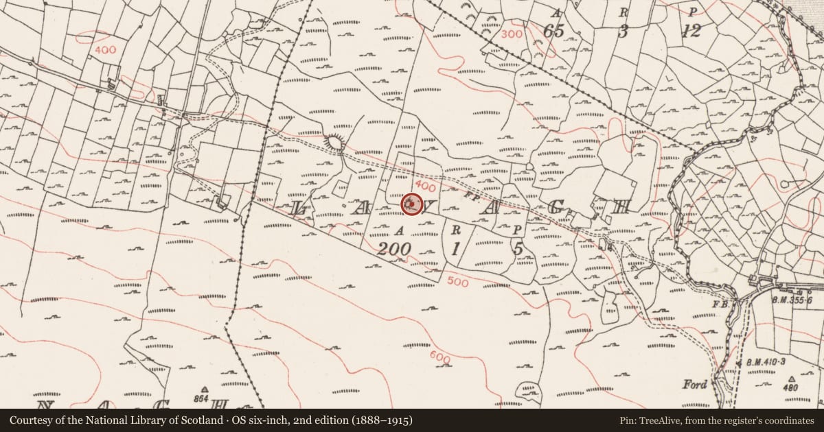 Ordnance Survey six-inch map, 2nd edition (1888–1915) covering the location of Enclosure, Lavagh, County Sligo, with a pin at the register's coordinates