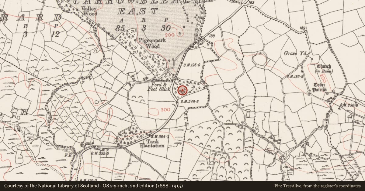 Ordnance Survey six-inch map, 2nd edition (1888–1915) covering the location of Ringfort - rath, Carroward, County Sligo, with a pin at the register's coordinates