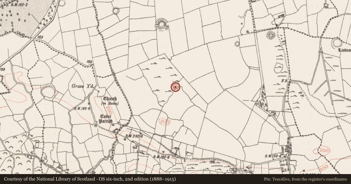 Ordnance Survey six-inch map, 2nd edition (1888–1915) covering the location of Enclosure, Altanelvick, County Sligo, with a pin at the register's coordinates