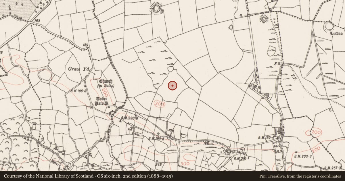 Ordnance Survey six-inch map, 2nd edition (1888–1915) covering the location of Field system, Altanelvick, County Sligo, with a pin at the register's coordinates