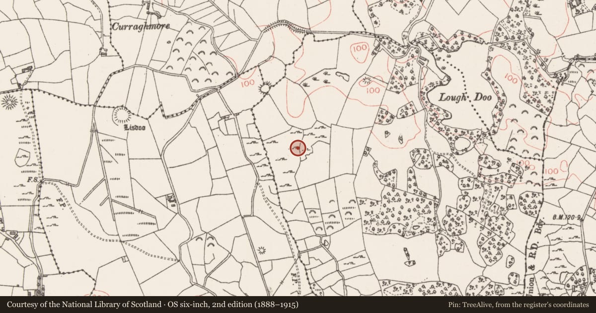 Ordnance Survey six-inch map, 2nd edition (1888–1915) covering the location of Field system, Lugbaun, County Sligo, with a pin at the register's coordinates