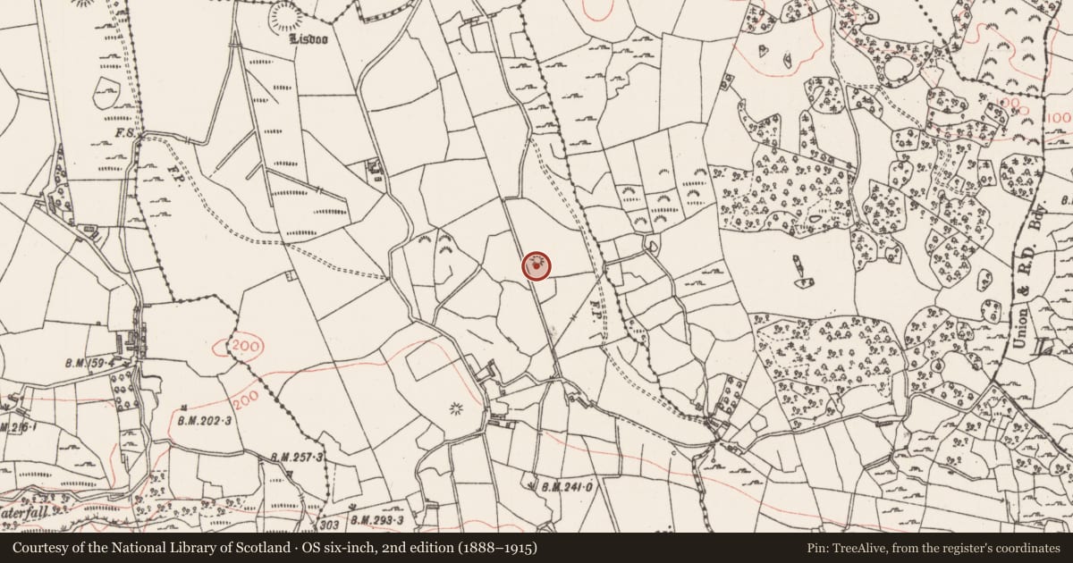 Ordnance Survey six-inch map, 2nd edition (1888–1915) covering the location of Barrow - unclassified, Lismacbryan, County Sligo, with a pin at the register's coordinates