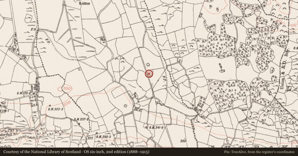 Ordnance Survey six-inch map, 2nd edition (1888–1915) covering the location of Enclosure, Lismacbryan, County Sligo, with a pin at the register's coordinates