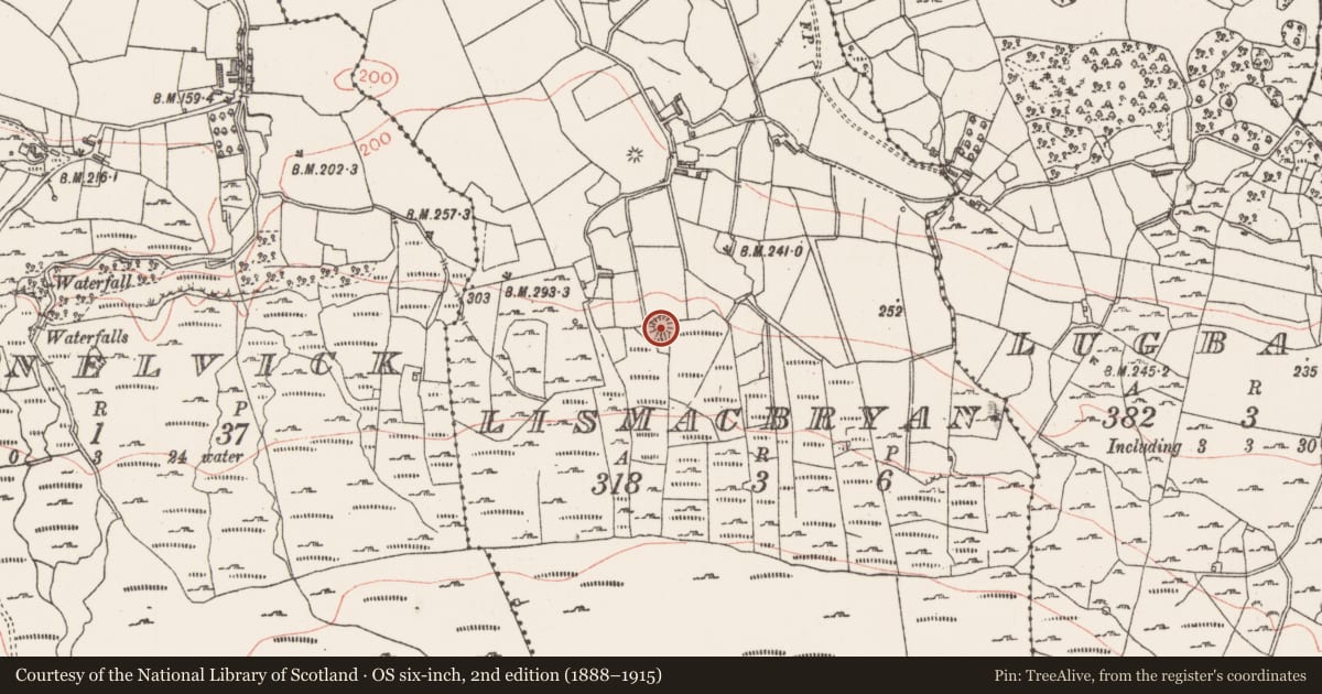 Ordnance Survey six-inch map, 2nd edition (1888–1915) covering the location of Enclosure, Lismacbryan, County Sligo, with a pin at the register's coordinates