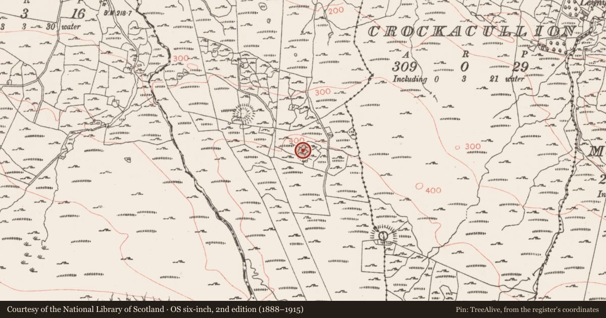 Ordnance Survey six-inch map, 2nd edition (1888–1915) covering the location of Enclosure, Larkhill, County Sligo, with a pin at the register's coordinates