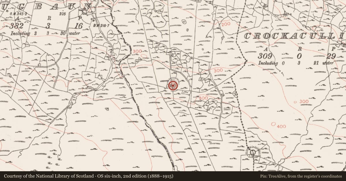 Ordnance Survey six-inch map, 2nd edition (1888–1915) covering the location of Ringfort - rath, Larkhill, County Sligo, with a pin at the register's coordinates