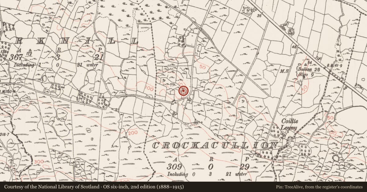 Ordnance Survey six-inch map, 2nd edition (1888–1915) covering the location of Enclosure, Crockacullion, County Sligo, with a pin at the register's coordinates