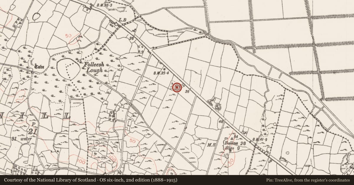 Ordnance Survey six-inch map, 2nd edition (1888–1915) covering the location of Ringfort - cashel, Crockacullion, County Sligo, with a pin at the register's coordinates
