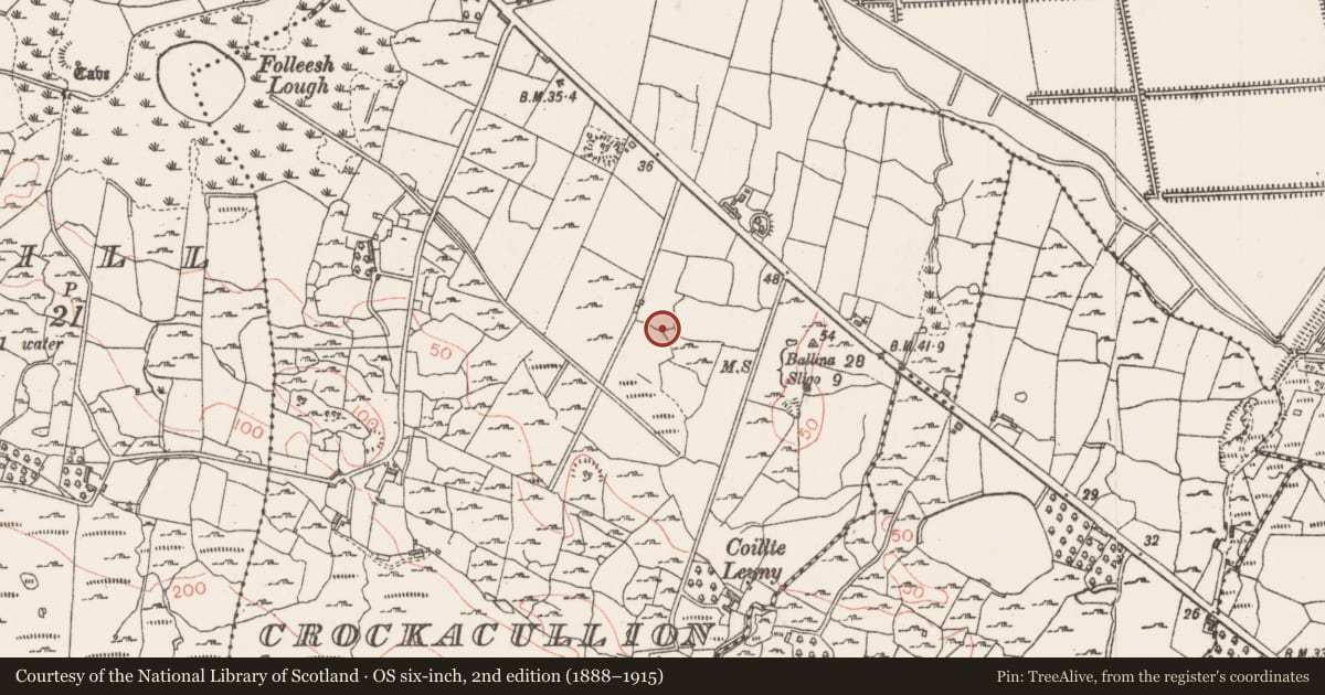 Ordnance Survey six-inch map, 2nd edition (1888–1915) covering the location of Ringfort - rath, Crockacullion, County Sligo, with a pin at the register's coordinates