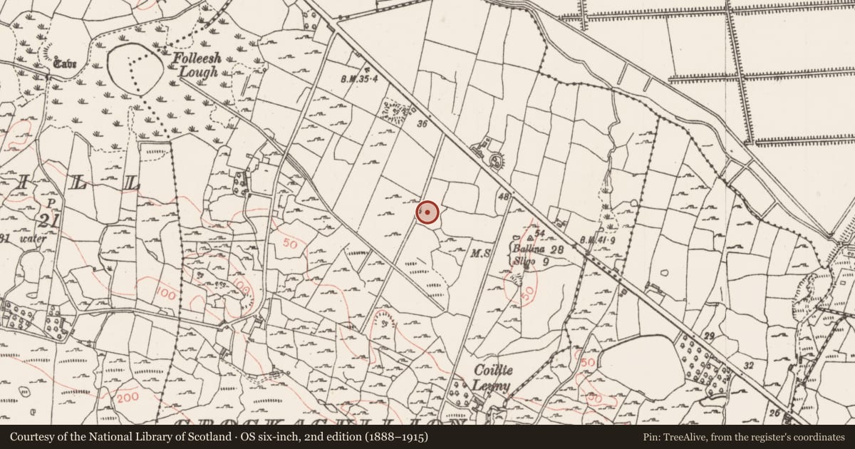 Ordnance Survey six-inch map, 2nd edition (1888–1915) covering the location of Field system, Crockacullion, County Sligo, with a pin at the register's coordinates