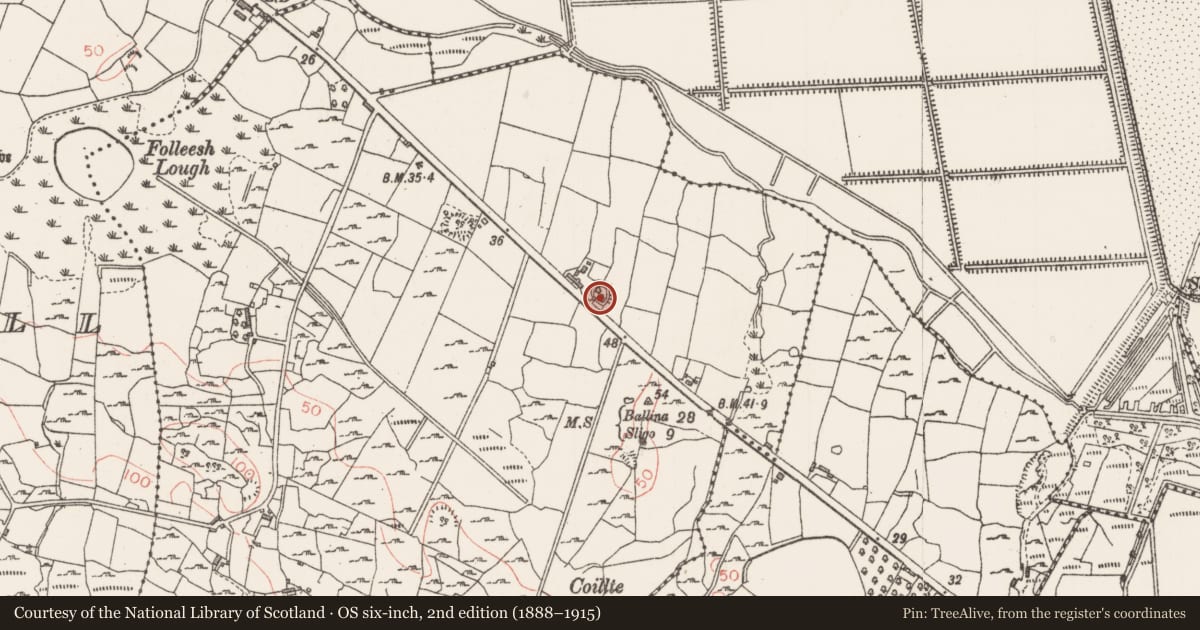 Ordnance Survey six-inch map, 2nd edition (1888–1915) covering the location of Enclosure, Crockacullion, County Sligo, with a pin at the register's coordinates
